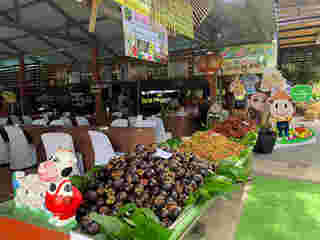 สวนสาวสุดใจ เที่ยวสวนผลไม้จันทบุรี 2568