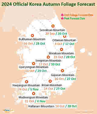 พยากรณ์ใบไม้เปลี่ยนสี เกาหลี 2024