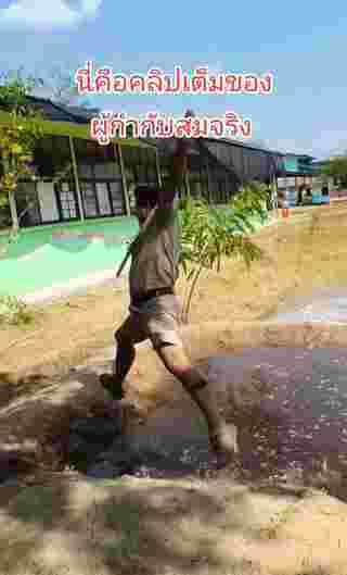 เล่นฐาน