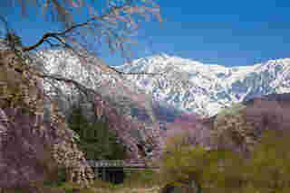 ฮาคุบะ (Hakuba) ญี่ปุ่น สวนสาธารณะโออิเดะ