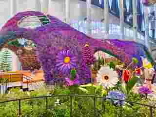 นิทรรศการพรรณไม้ Wondrous Bloom  