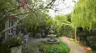 สวนบ้าน ซี-เอมี่ Before