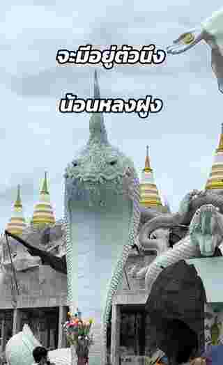 พญานาค