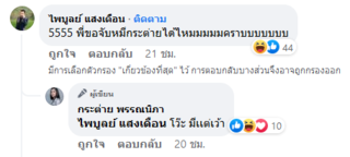 กระต่าย พรรณนิภา