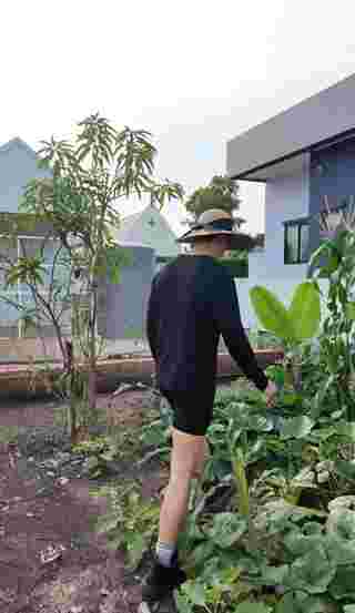 ส่องบ้านสวน พุฒ-จุ๋ย กับผลผลิตงอกงาม
