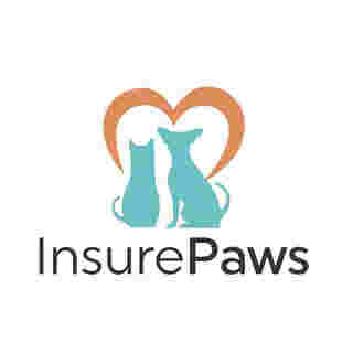 ภาพจาก : เฟซบุ๊ก InsurePaws - Pet Insurance