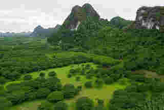 ลานจามจุรี บ่อแสน พังงา