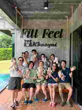 Fill Feel