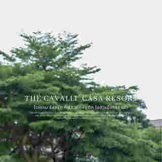 The Cavalli Casa Resort  