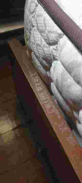 คราบงู