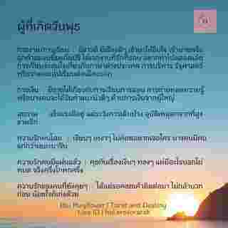ดวงรายสัปดาห์  