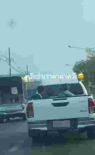 ทรงผม