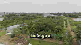 สวนผลไม้