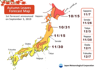 ใบไม้เปลี่ยนสี ญี่ปุ่น 2019