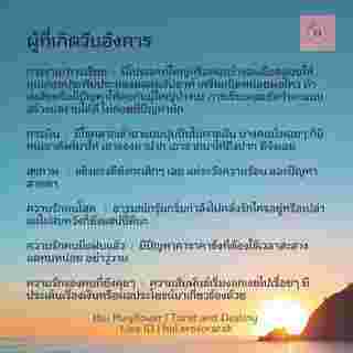 ดวงรายสัปดาห์  