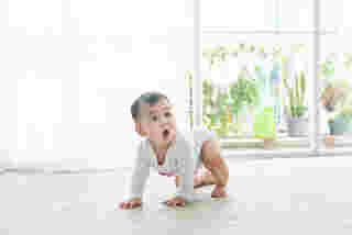 ลูกไม่คลาน