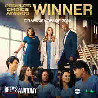 Grey's Anatomy ซีรีส์การแพทย์