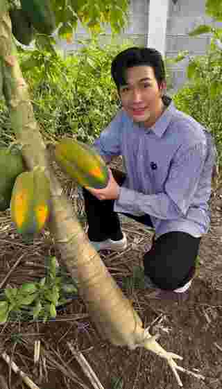 ส่องบ้านสวน พุฒ-จุ๋ย กับผลผลิตงอกงาม