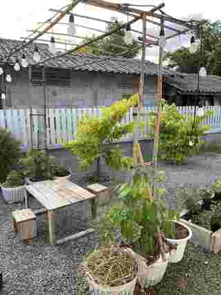 รื้อบ้านเก่า