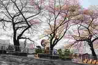 เที่ยวเกาหลีใต้