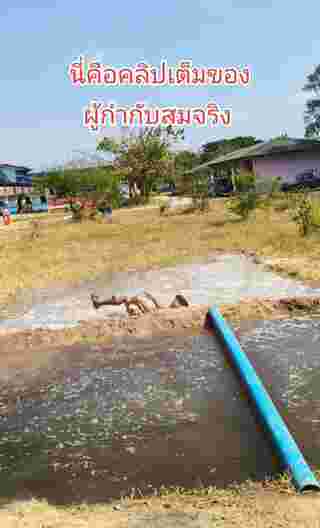เล่นฐาน