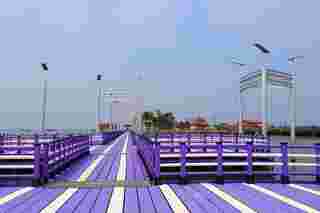 สะพานม่วงลอยน้ำ เกาะลอย-ศรีราชา 