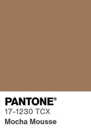 สี pantone 2025