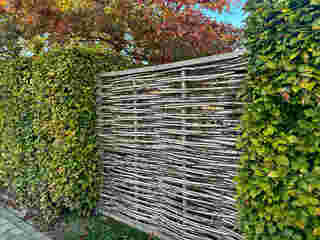 ไอเดียรั้วต้นไม้ Wicker Willow Eco Fence and Dense Beech Hedge