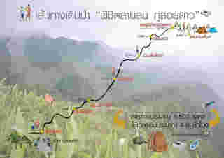 เส้นทางพิชิตลานสน ภูสอยดาว