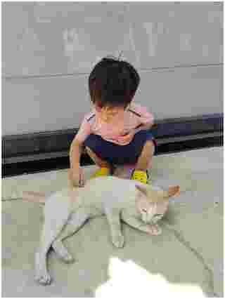เที่ยวสุพรรณบุรี 3 วัน 2 คืน 