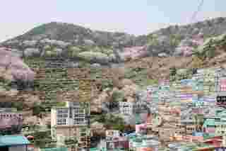 Gamcheon Culture Village