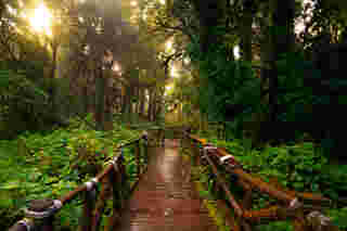 อุทยานแห่งชาติดอยอินทนนท์