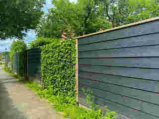 ไอเดียรั้วต้นไม้ Modern Black Fence with Hedera