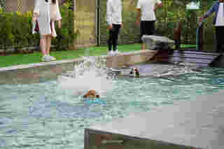 Hugmhaland ตลิ่งชัน