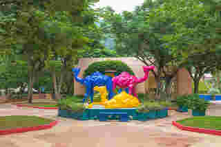 ที่เที่ยวเพชรบุรี Camel Republic (สวนอูฐชะอำ)