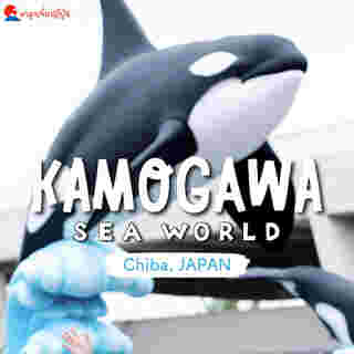 Kamogawa Sea World 