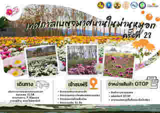 ที่เที่ยวเดือนกุมภาพันธ์ 2568 งานเบญจมาศบานในม่านหมอก จังหวัดนครราชสีมา