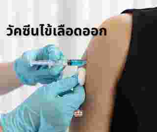 วัคซีนไข้เลือดออกชนิดใหม่