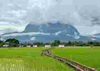 ที่พักวิวทุ่งนา 2568 บ้านผ่อดอยกอยดาว