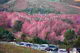 ฟ้าสางที่ภูลมโล 