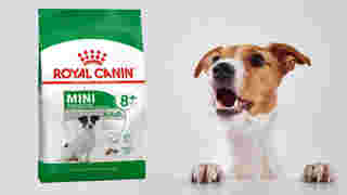 อาหารสุนัขแก่ Royal Canin