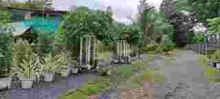 บ้านไม้เก่า