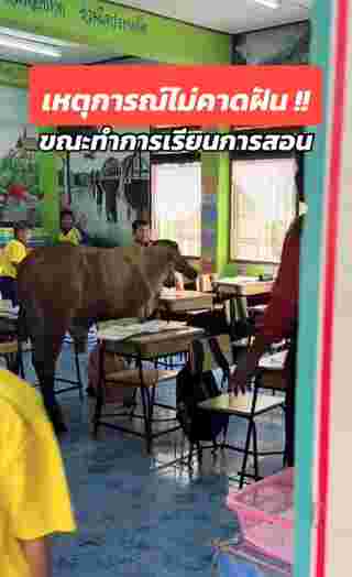 เรียนหนังสือ