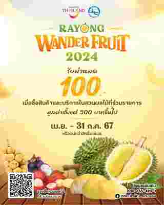 Rayong Wander Fruit 2024