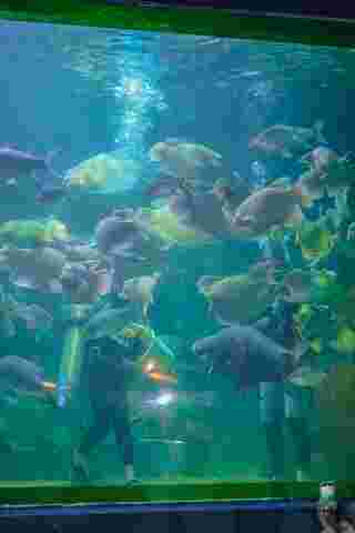 Aquarium สวนสัตว์เชียงใหม่ 