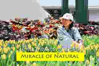 Miracle of Natural ระยอง 