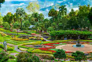 สวนแม่ฟ้าหลวง เทศกาลสีสันแห่งดอยตุง ครั้งที่ 10