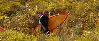 The Surfer