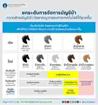 บัญชีม้า หมายถึงอะไร มีกี่สี
