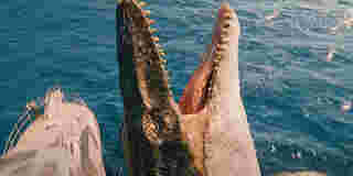 Mosasaurus ไดโนเสาร์ ในหนัง jurassic world rebirth